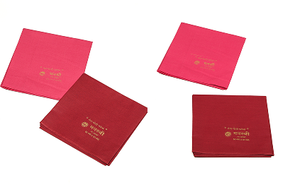 Manasvi Aster & Dhanashree Blouse